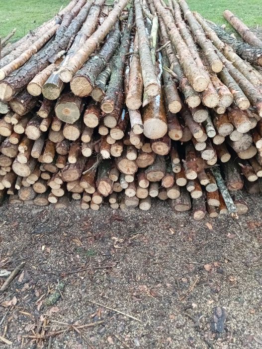 Słupki ogrodzeniowe drewniane.