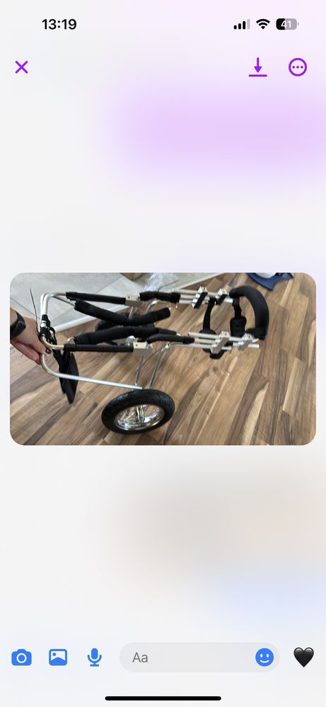 Wozek inwalidzki dla psa na tyl