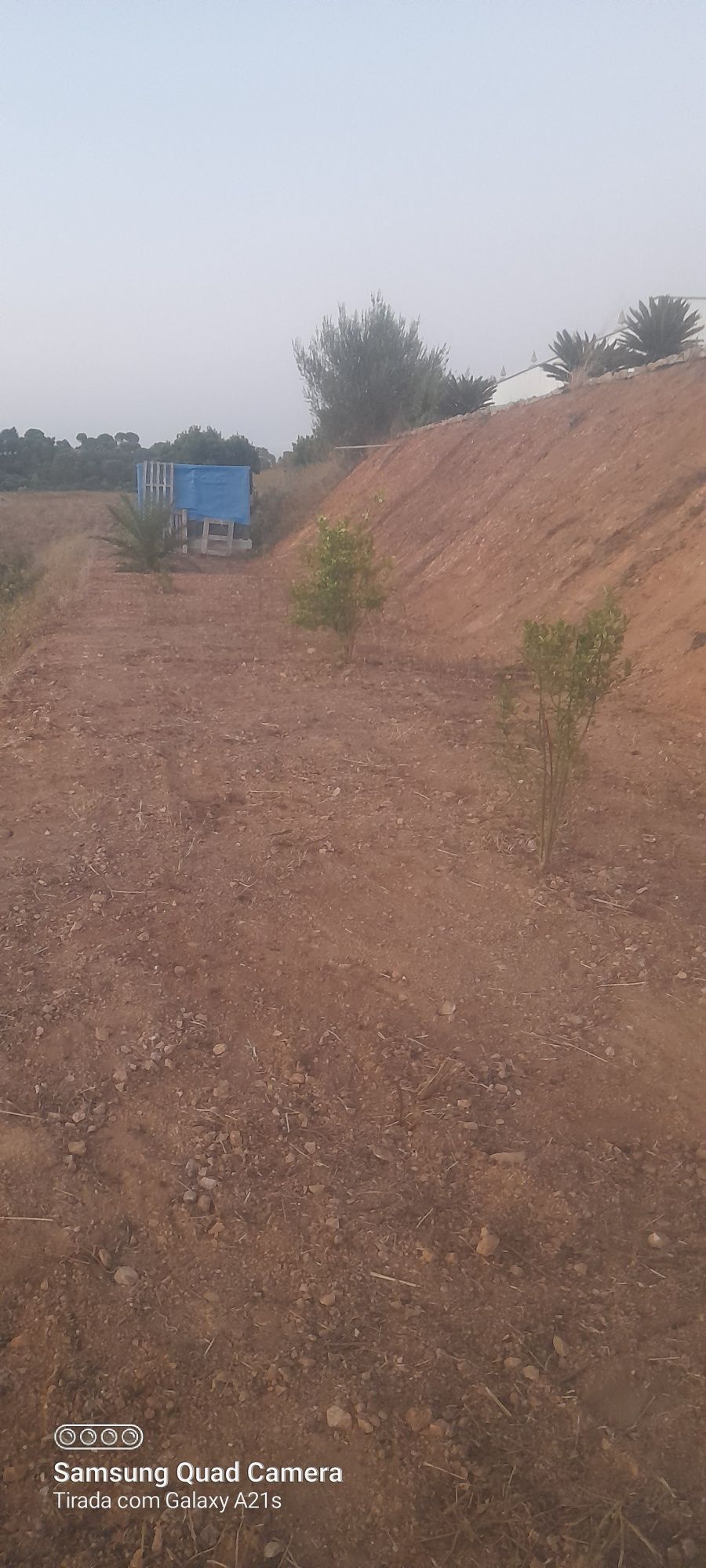 Limpesa de terrenos e jardinagem