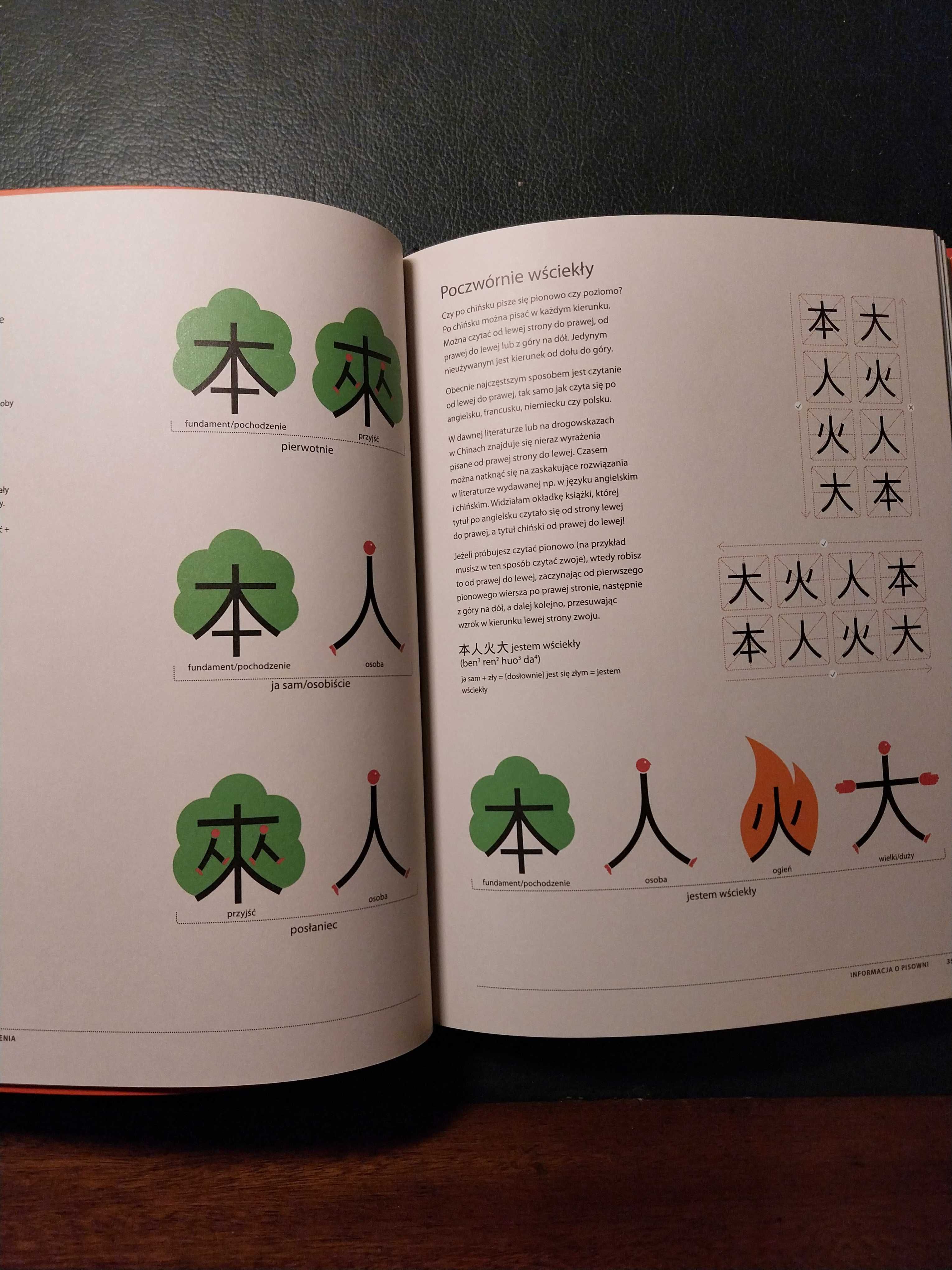 Chineasy podręcznik do nauki języka chińskiego