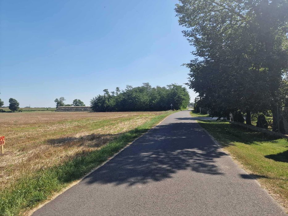 Sprzedam ziemię rolną  – 1,6058 ha. Leszno, gmina Grabów, woj. łódzkie