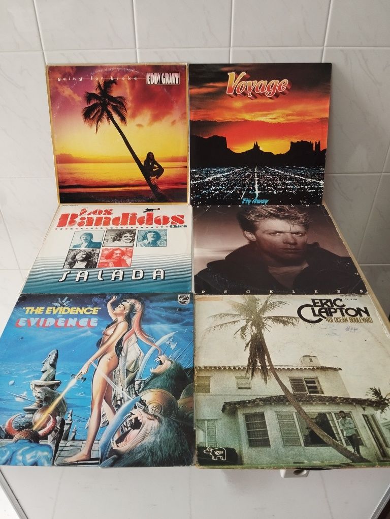 Lote 22 discos de Vinil