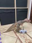 Dinossauro T-Rex que anda e ruge