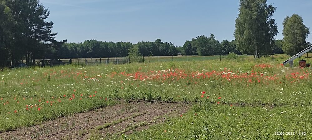 Miód, mój miód  z własnej pasieki