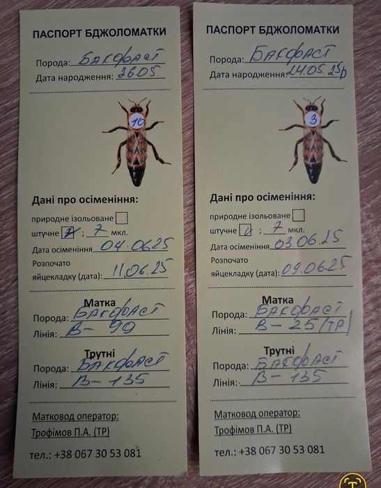 Бджолопакети, бджолосімї на рамку Рут (230). Бджоломатки.