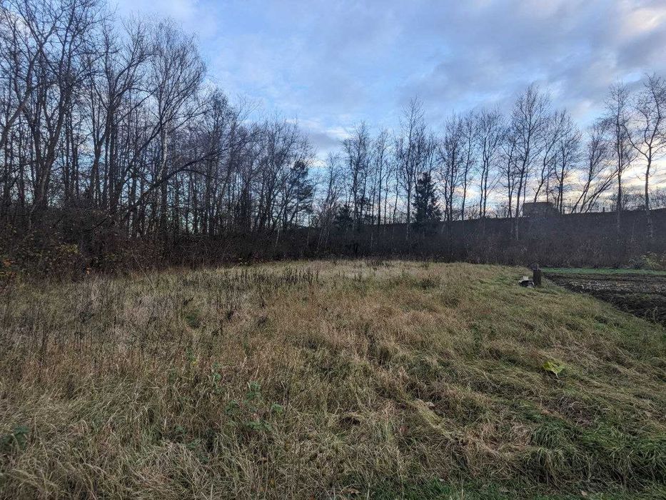 Продається дачна ділянка 10 сот в СТ Діброва (10)