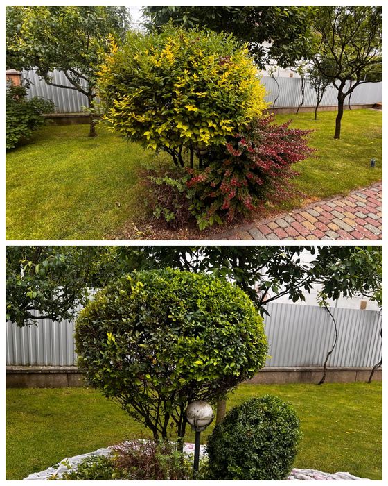 Послуги по обрізці кущів, покос газону великих площ