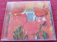 CD Brian Wilson - That Lucky Old Sun
