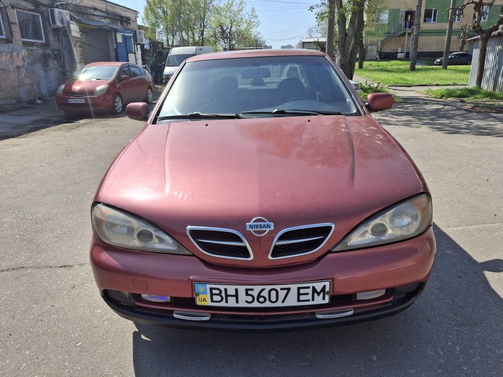 Nissan Primera p11 rest