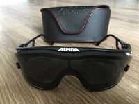 Okulary Alpina Pro Sport Optic Twin Swing