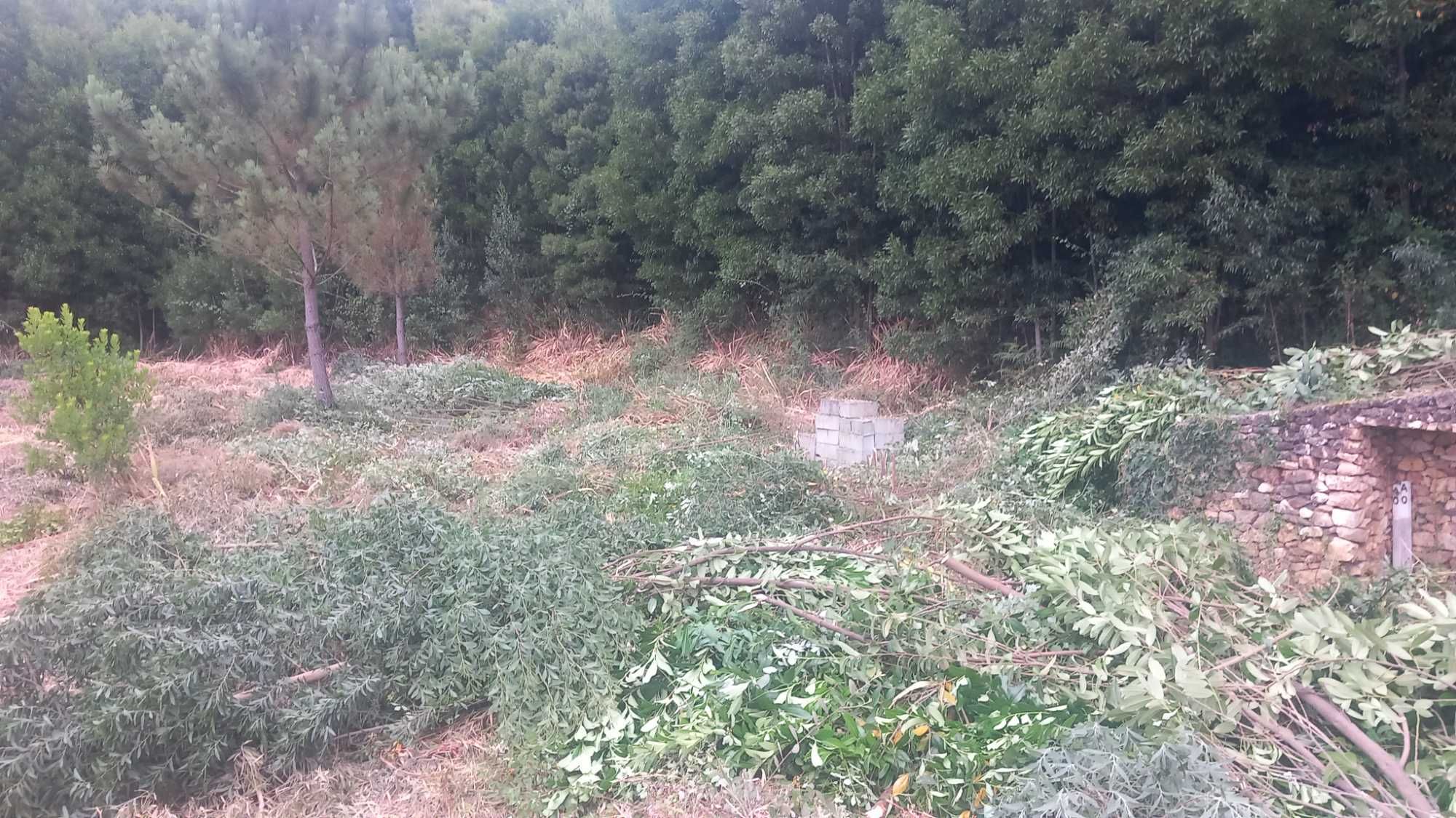 Vendo terreno1100m2