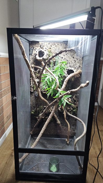 Terrarium dla kameleona.