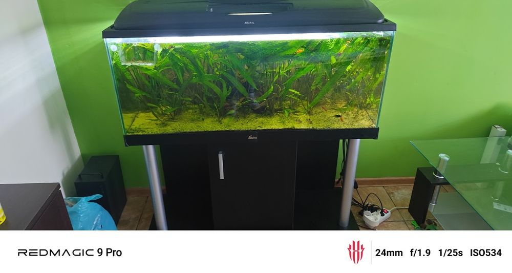 Akwarium+ szafka i osprzęt