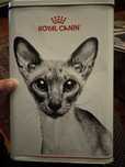 Lata de raçao royal canin