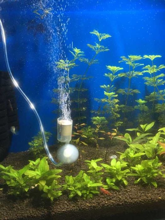 109. Bimbrownia, zestaw do dystrybucji CO2 w akwarium