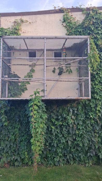 Sprzedam klatkę dla ptaków.