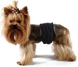 Majtki dla psa samca XL, polska firma