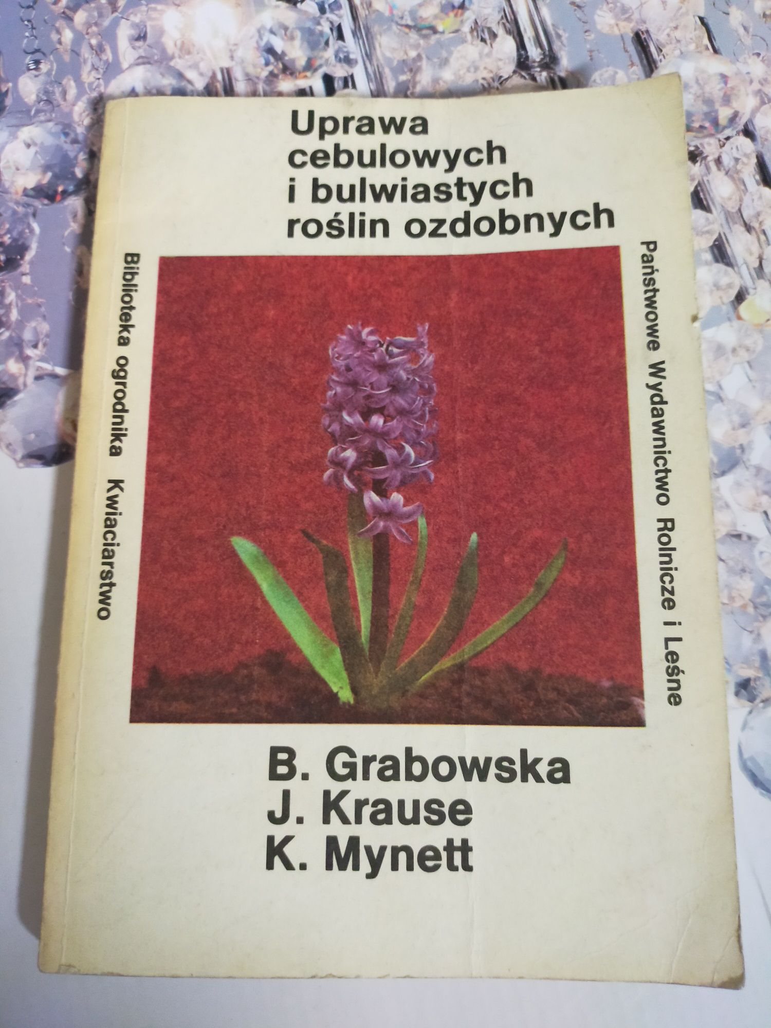 Uprawa cebulowych i bulwiastych roślin ozdobnych Grabowska działka