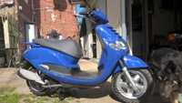 yamaha teos (dodo)2008.