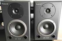 Monitores estudio amplificados Roland DS-90A