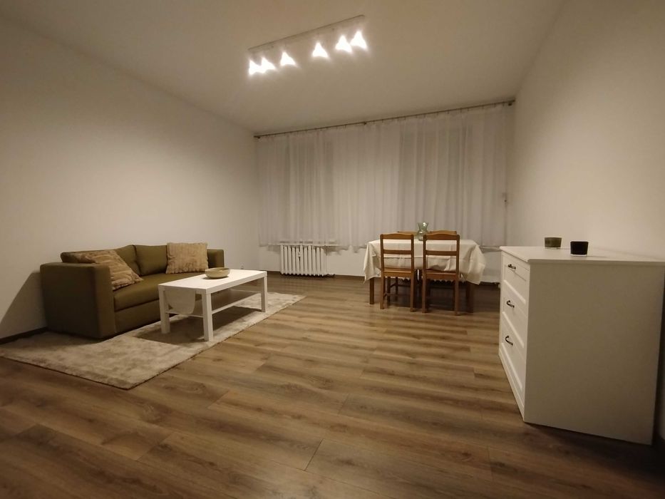 Przestronne mieszkanie w centrum do wynajęcia