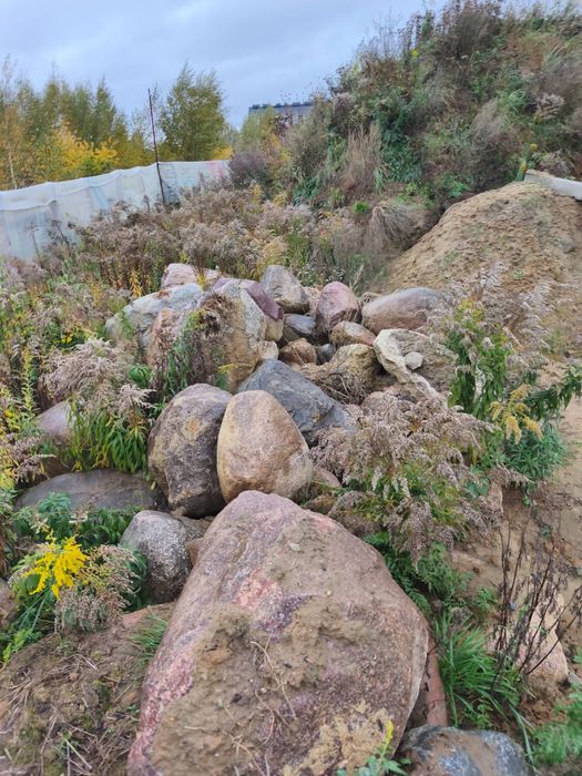 Oddam kamienie polne