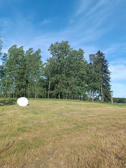 16ha, Działka rolna Wydminy