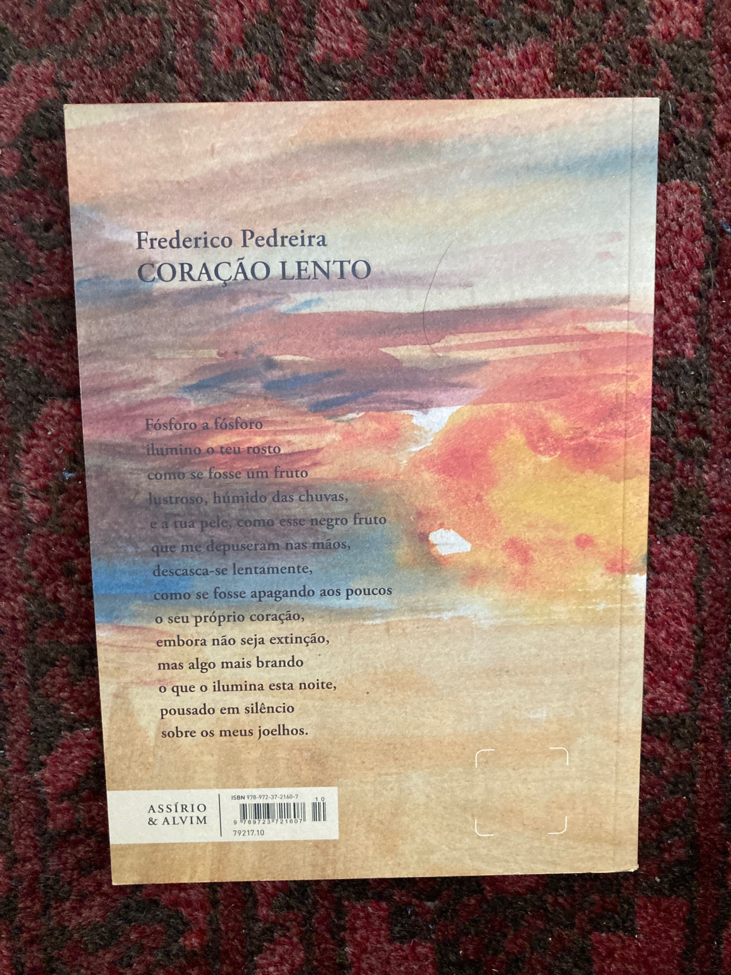 Coração lento, de Frederico Pedreira. (NOVO)