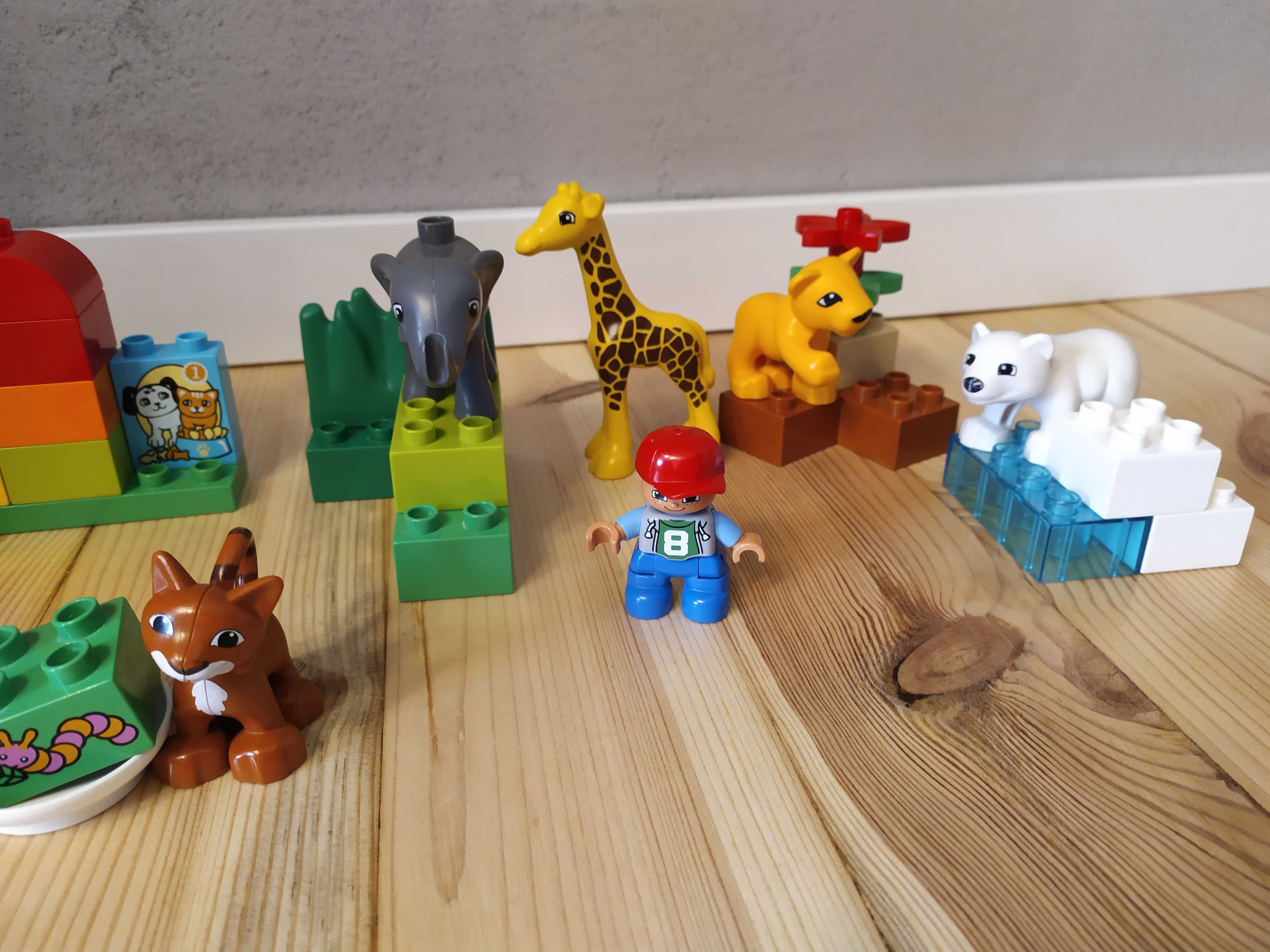 LEGO Duplo małe zoo 4962 i dodatkowe klocki z kotem