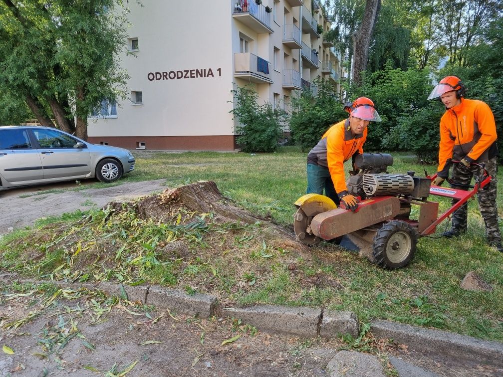 Drzewo drewno liściaste kominkowe opał Łódź Pabianice Ksawerów Zgierz