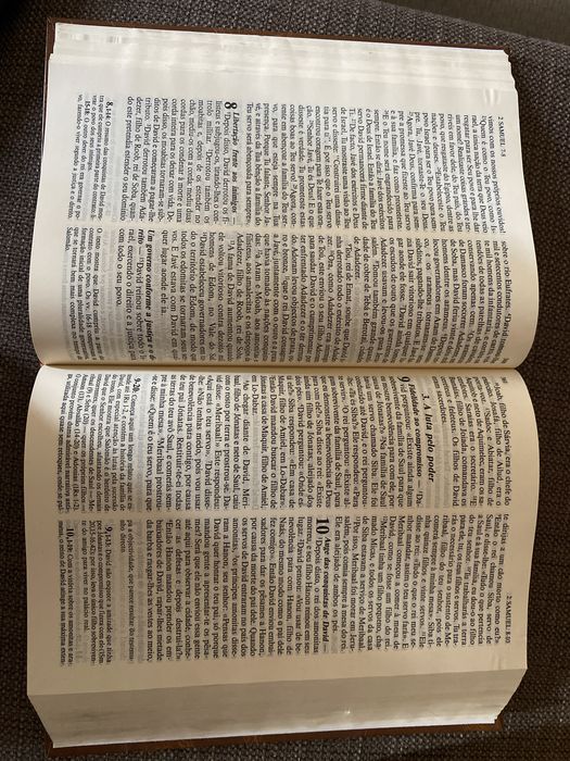 “Bíblia Sagrada”