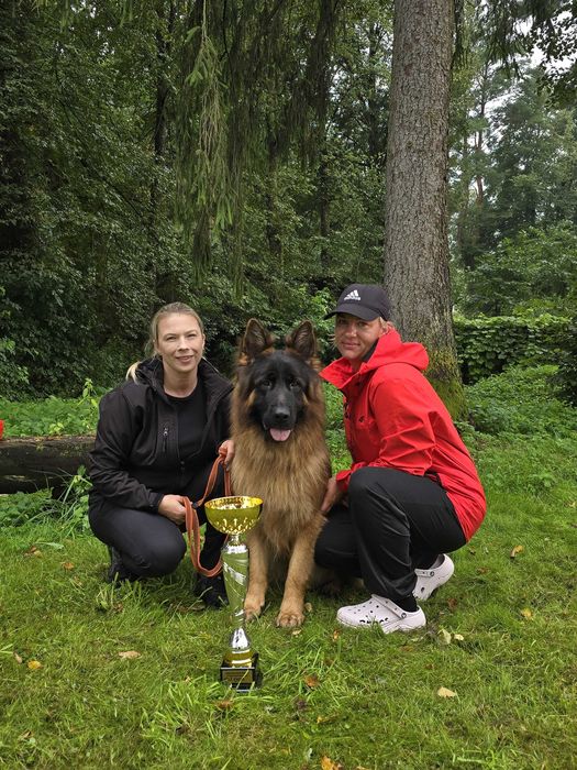Owczarek niemiecki długowłosy – wyjątkowe szczenię