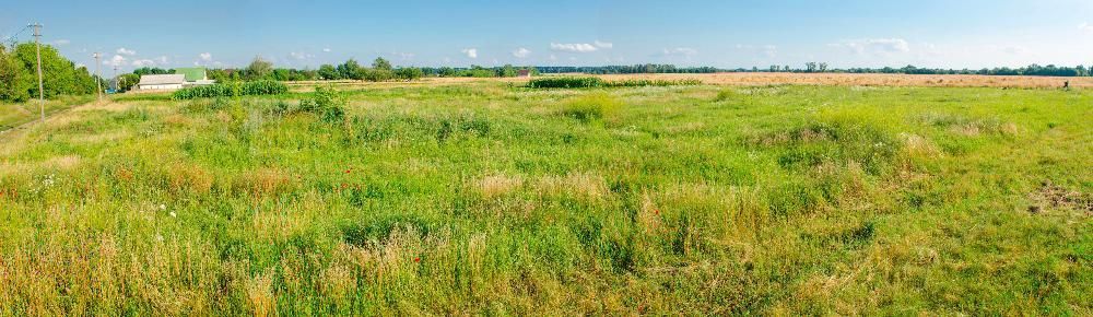 Продам земельный участок, Фастовский р-н, с.Червоная Мотовиловка