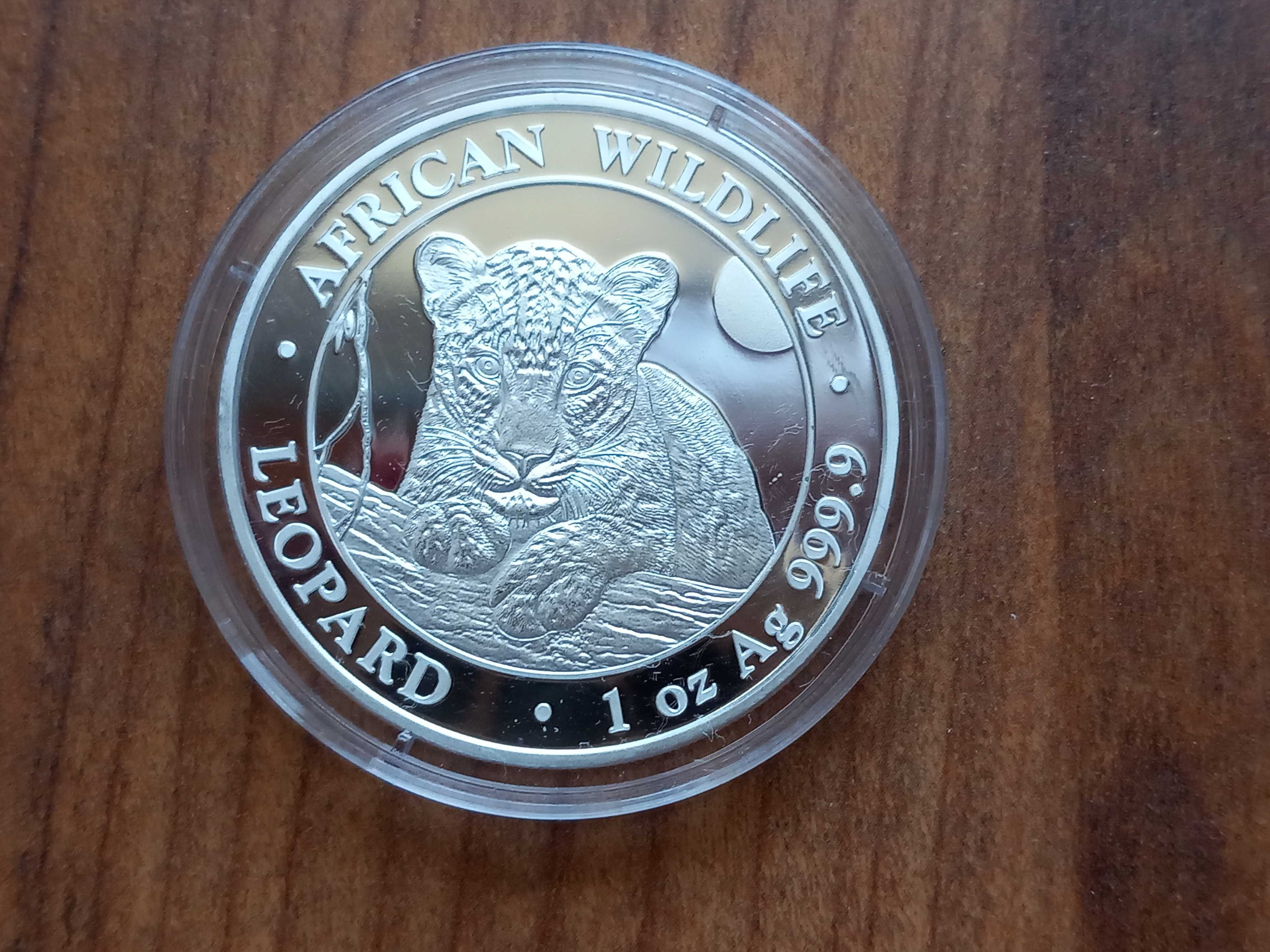 Moeda 100 Shillings "Leopardo" 2025 Somália