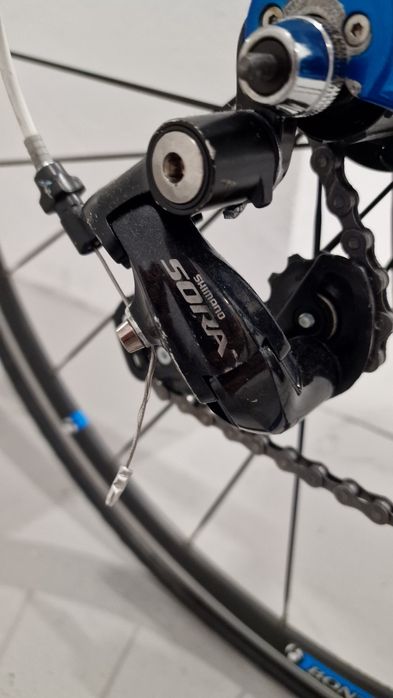 TREK One Series 1.2