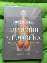Роберто Ости Основы анатомии для художников