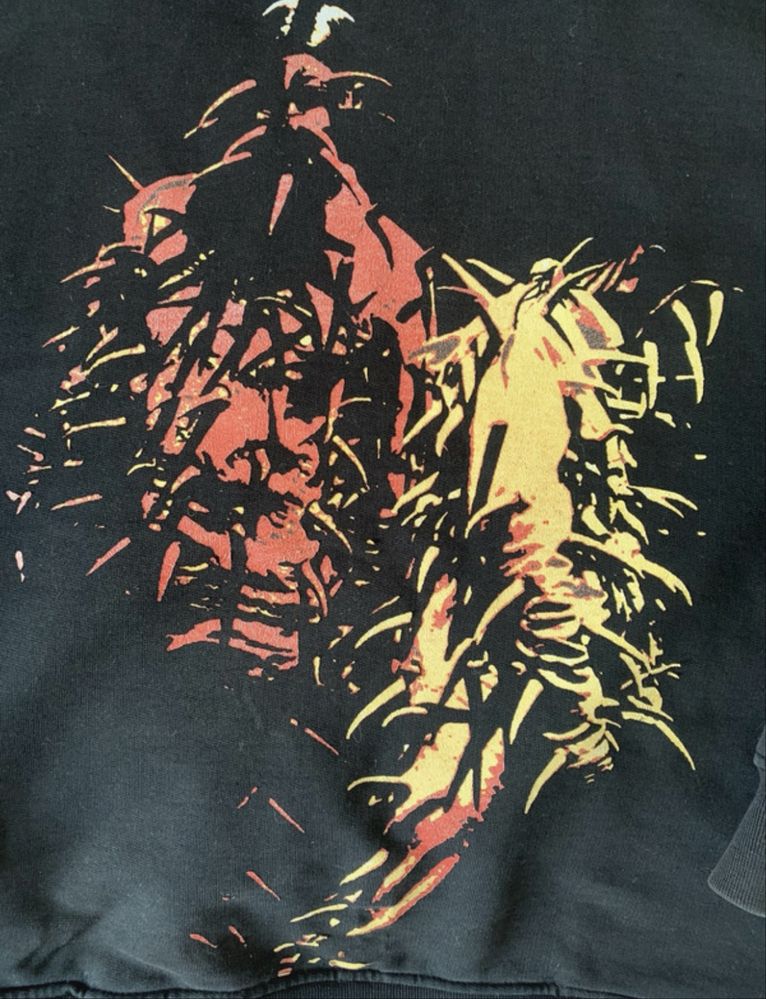 Bluza 2005 amfisbena