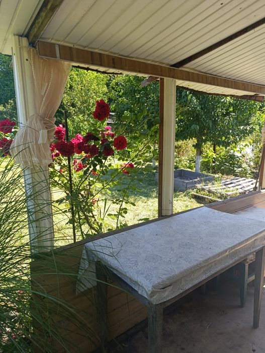 Дача біля Чепеліївки