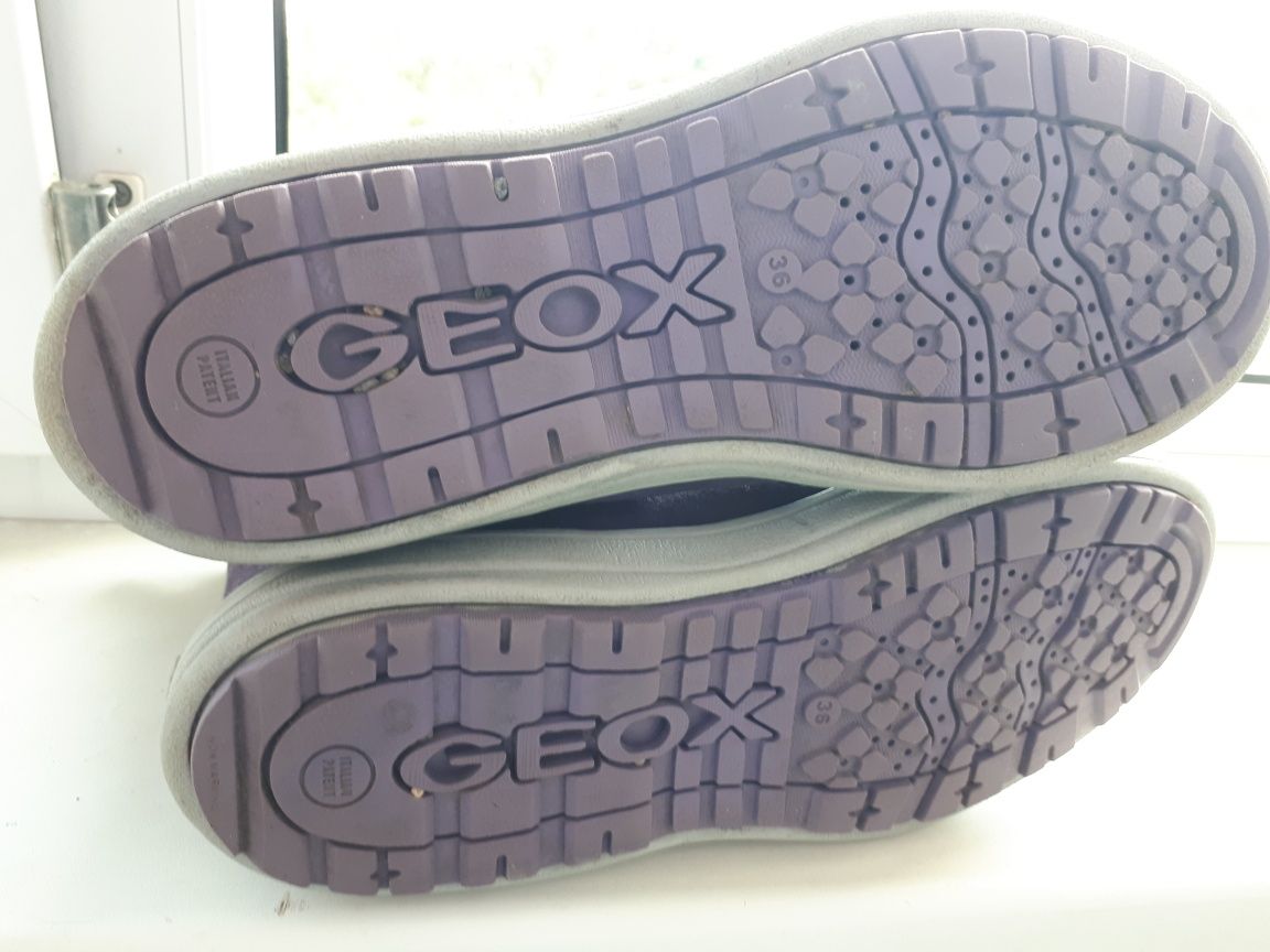 Сапожки деми, зима Geox, 36, 23, 5 см,оригинал