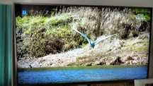Telewizor LG 47'