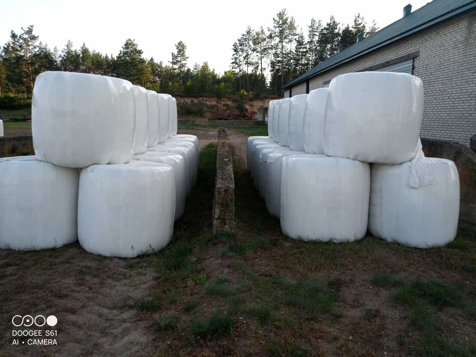 Bele sianokiszonki i siana sprzedam.