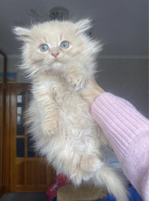 Волшебно красивая радость