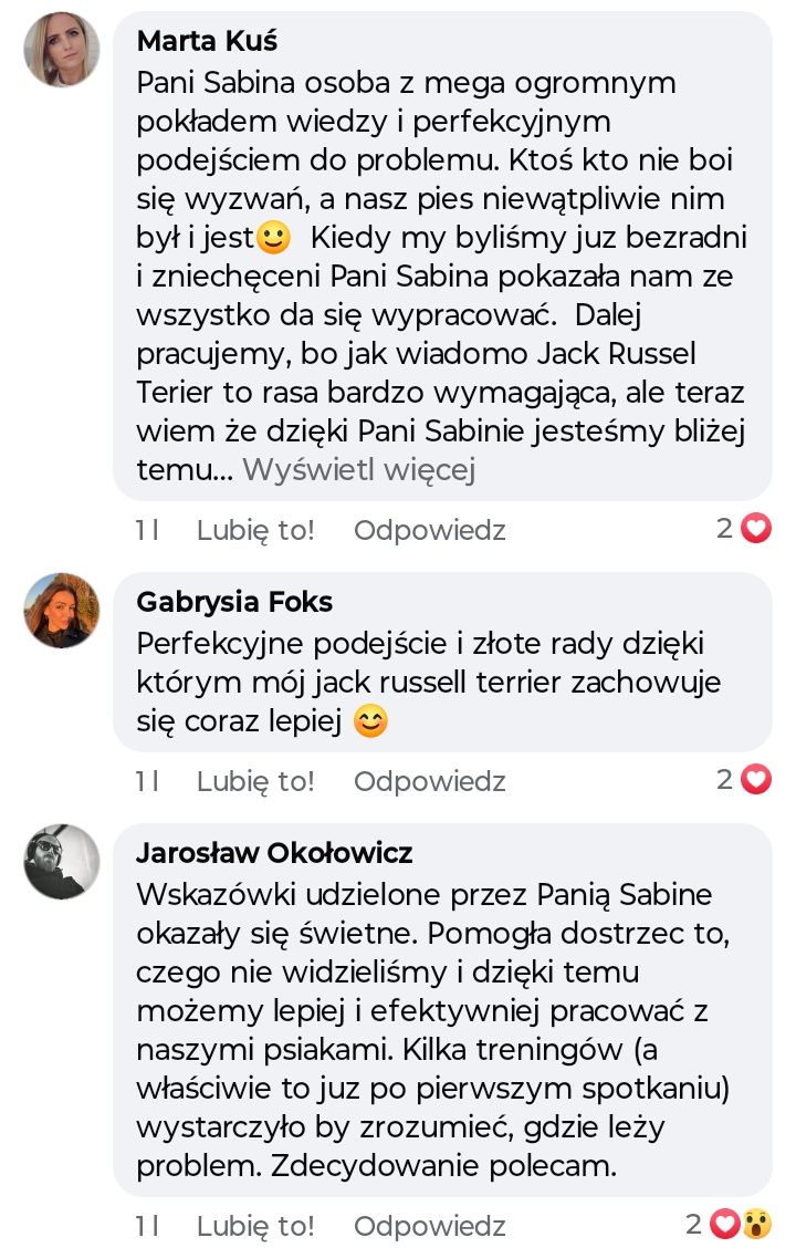 Zwierzak marzeń Behawiorysta psów i kotów
