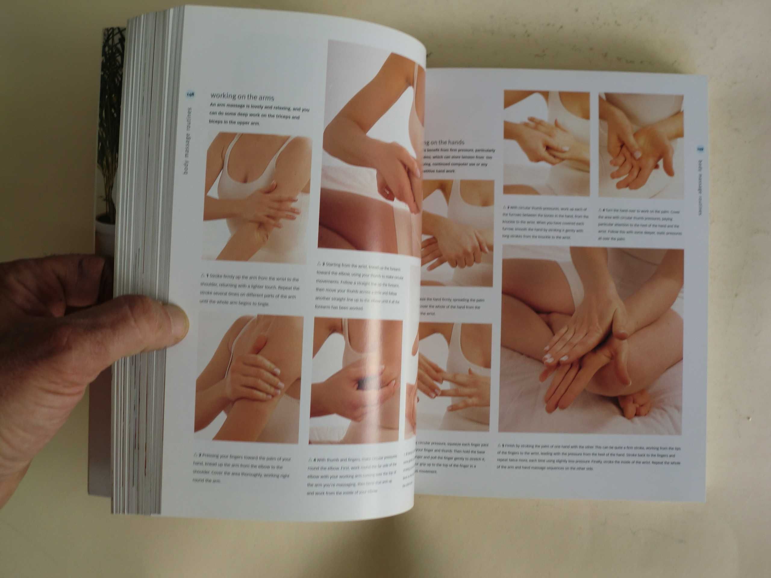 The Illustrated Guide to Massage and Aromatherapy