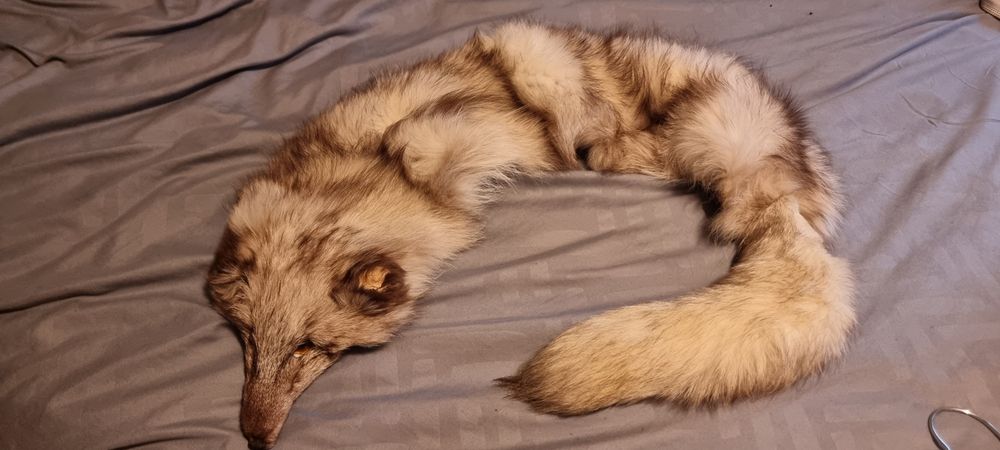 naturalny kołnierz z futra lisa polarnego