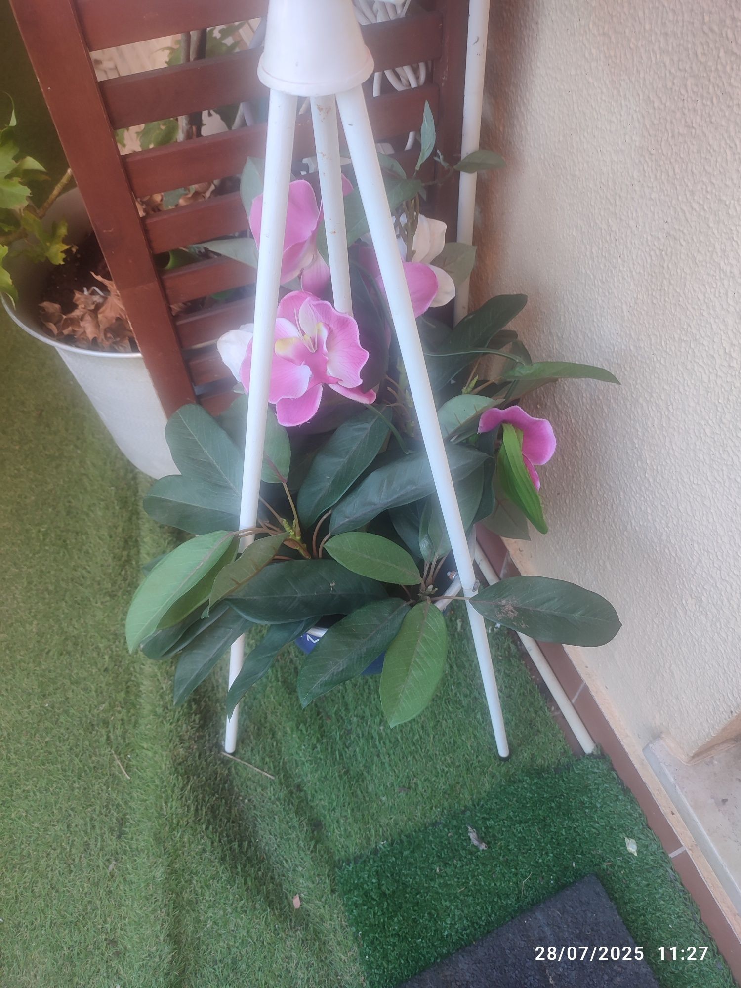 Gaiola completa para pássaros