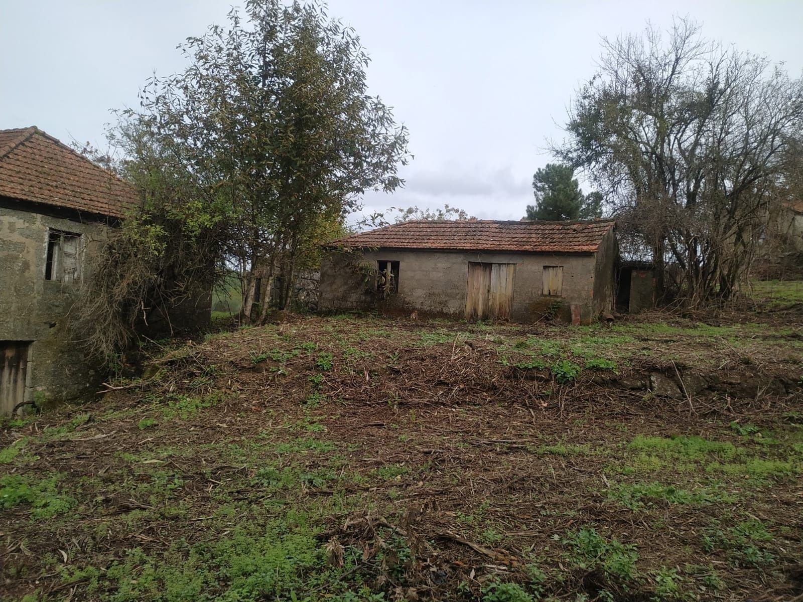 Quinta com 5,7 hectares com casa em pedra