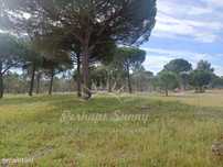 Herdade Bicas - Comporta