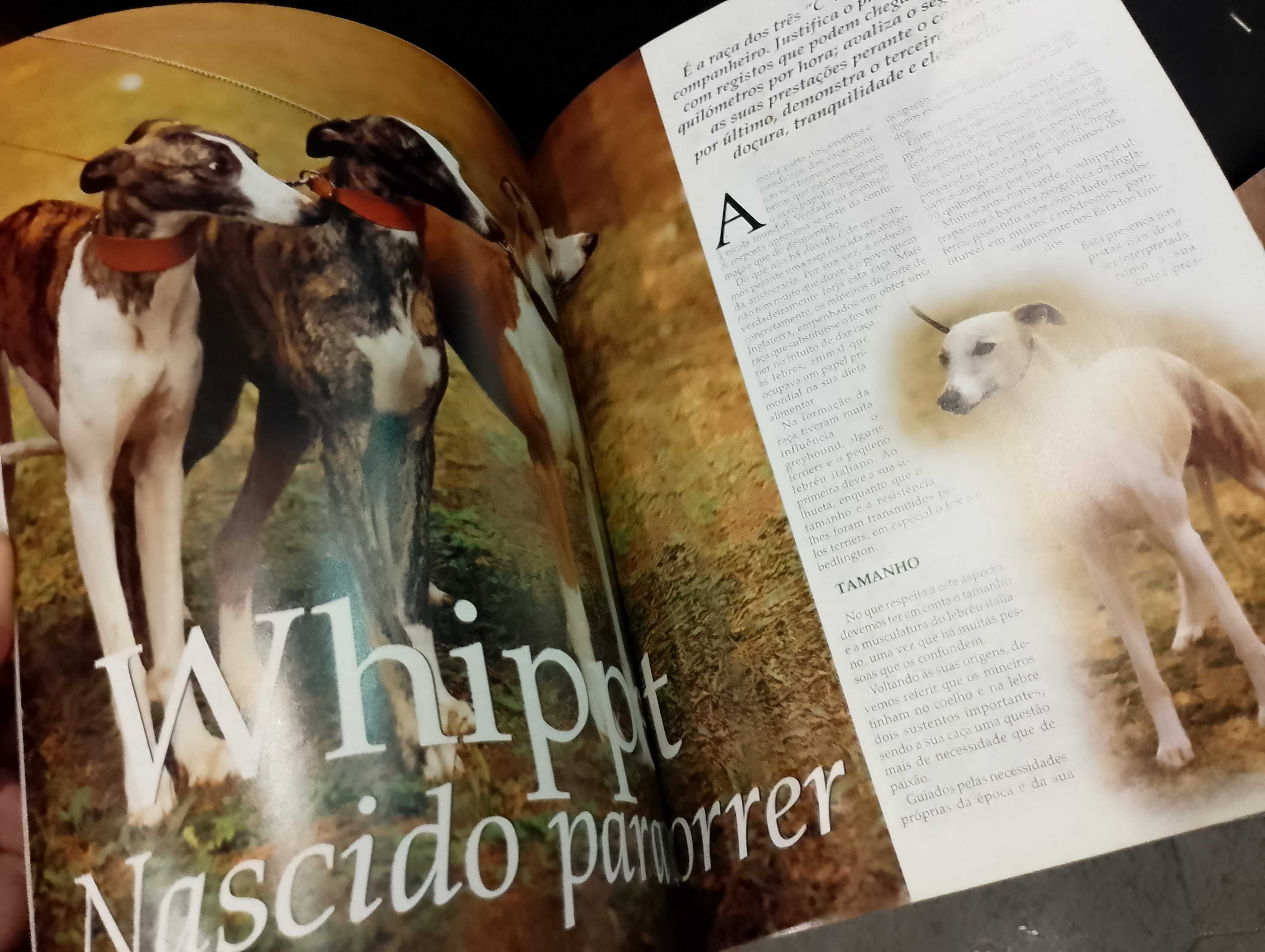 Revista nº1 Anuário 2000 Especial Cães de Caça