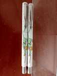 Conjunto canetas Parker